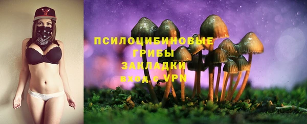 тгк Бугульма