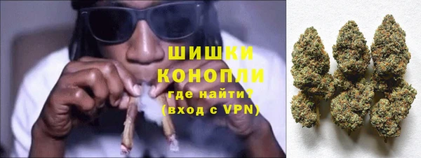 крисы Бородино