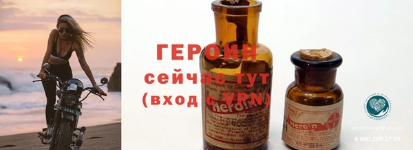 крисы Бородино