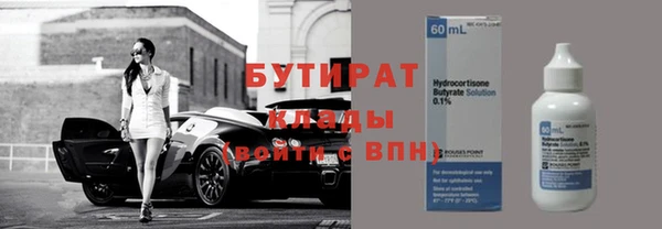 крисы Бородино