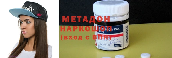 прущие грибы Верея
