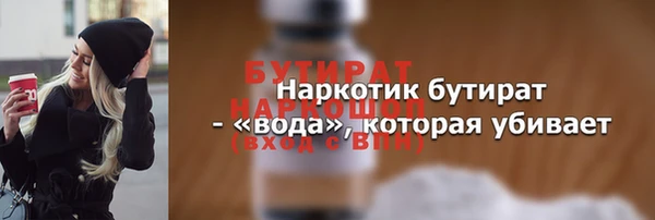 крисы Бородино