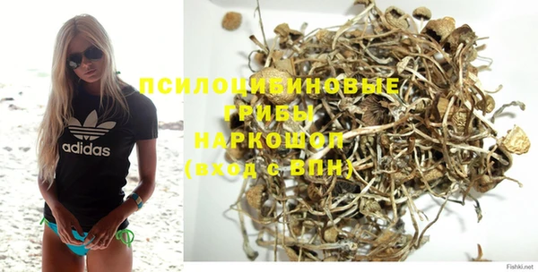 тгк Бугульма