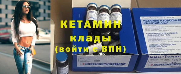 прущие грибы Верея