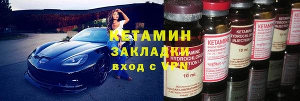 прущие грибы Верея