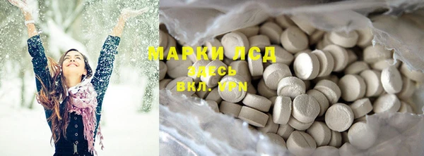крисы Бородино