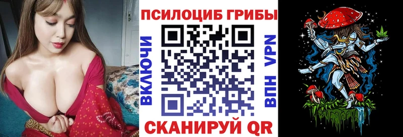 Купить  Лосино-Петровский  Галлюциногенные грибы прущие грибы 