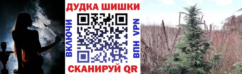 Шишки марихуана план  Купить где  Лосино-Петровский 